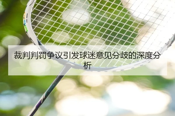 裁判判罚争议引发球迷意见分歧的深度分析